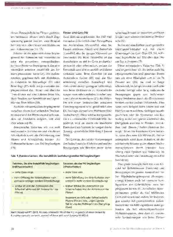 Vorschauseite 3: Risikofaktoren für Koxarthrose und ihre physiotherapeutische Behandlung Teil 2 -femoroacetabuläres Impingement (FAI)