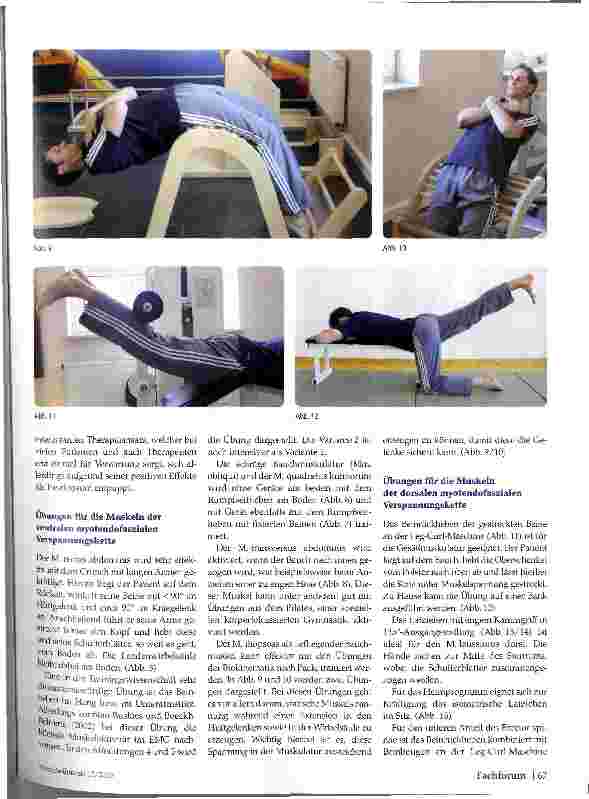 Vorschauseite 4: Myotendofasziale Verspannungsketten des LWS-Bereichs