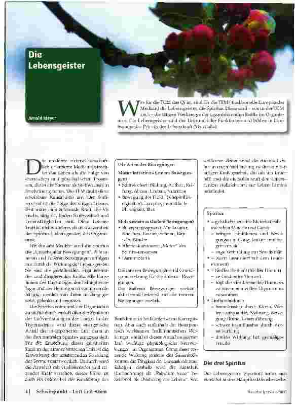 Vorschauseite 1: Die Lebensgeister