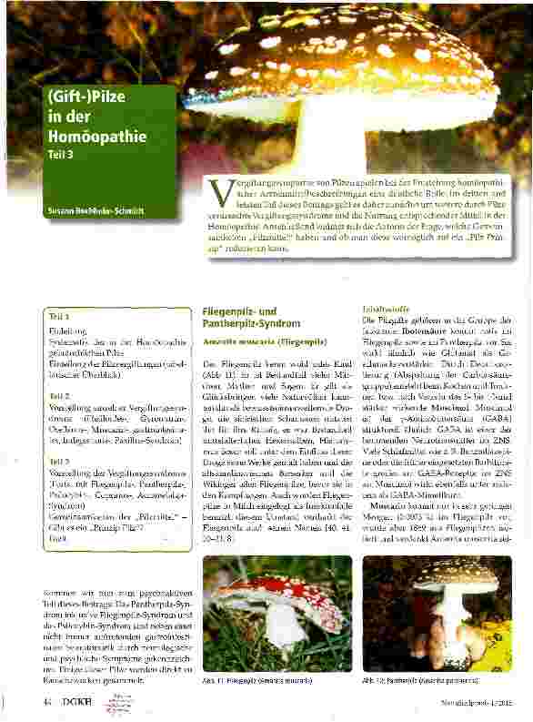 Vorschauseite 1: (Gift-)Pilze in der Homöopathie Teil 3