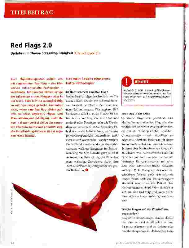 Vorschauseite 1: Red Flags 2. 0
