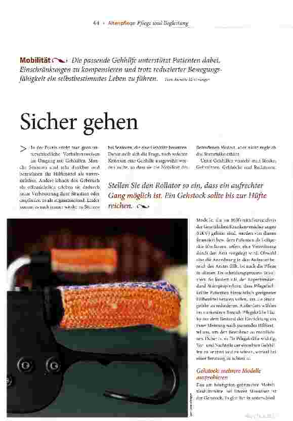 Vorschauseite 1: Sicher gehen