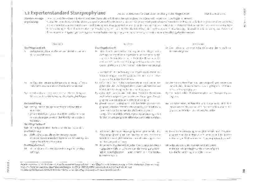Vorschauseite 3: Der Expertenstandard Sturzprophylaxe