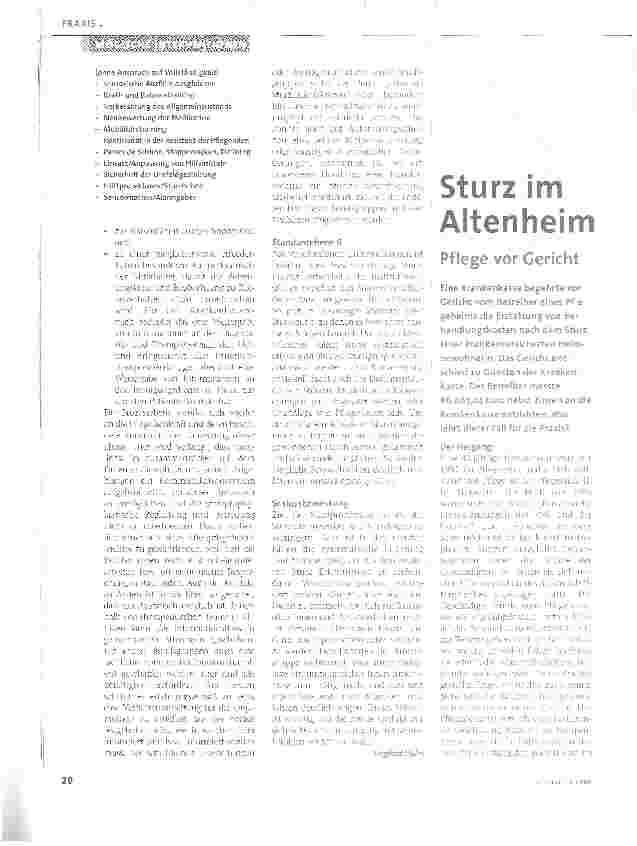 Vorschauseite 5: Der Expertenstandard Sturzprophylaxe