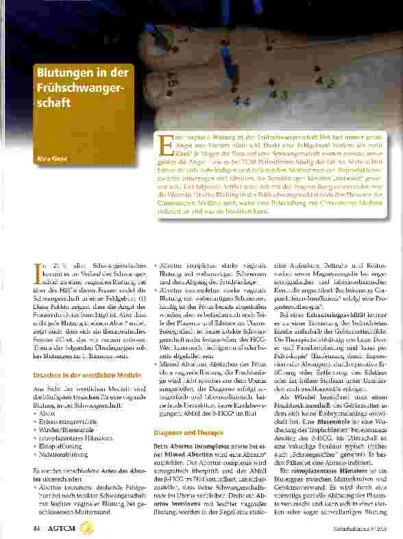 Vorschauseite 1: Blutungen in der Frühschwangerschaft