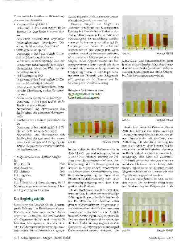 Vorschauseite 5: Traditionelle Urin-Funktionsdiagnose