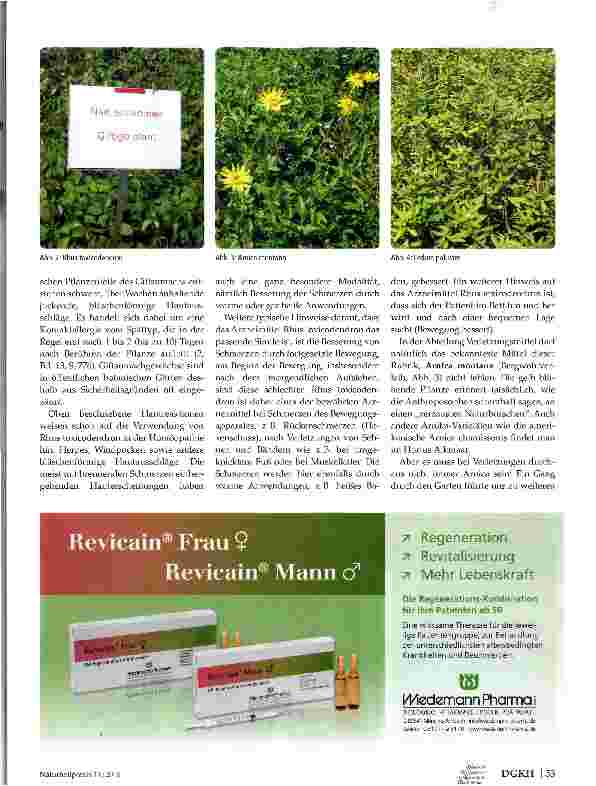 Vorschauseite 2: HortusAlkmaa Ein »homöopathischer« Reisebericht