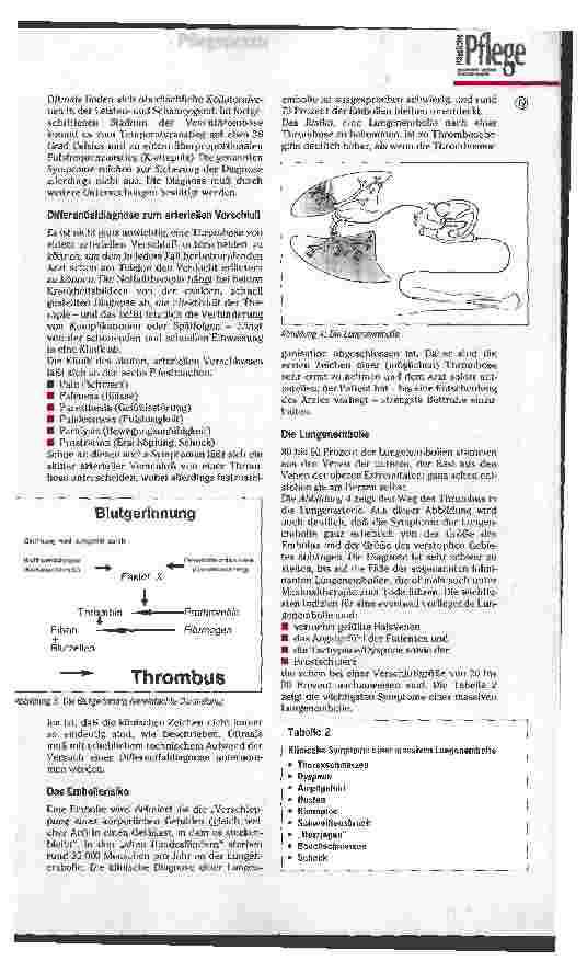 Vorschauseite 3: Zur Entstehung einer Thrombose