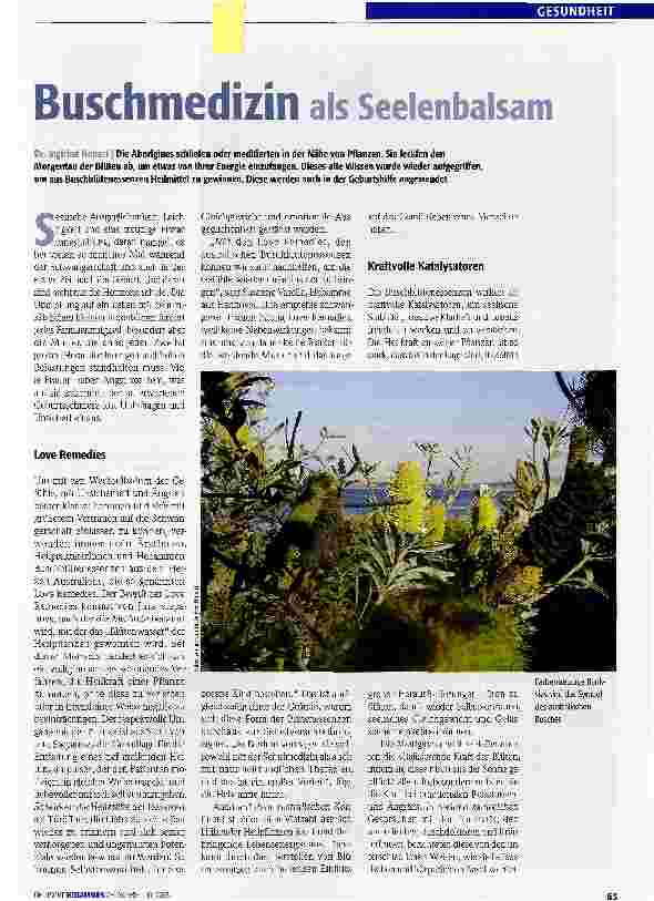 Vorschauseite 1: Buschmedizin als Seelenbalsam