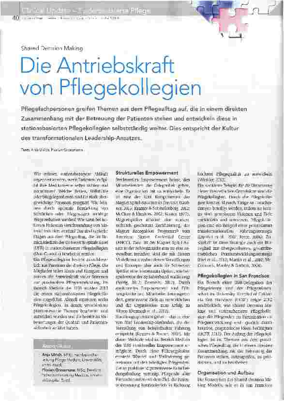 Vorschauseite 1: Die Antriebskraft von Pflegekollegien
