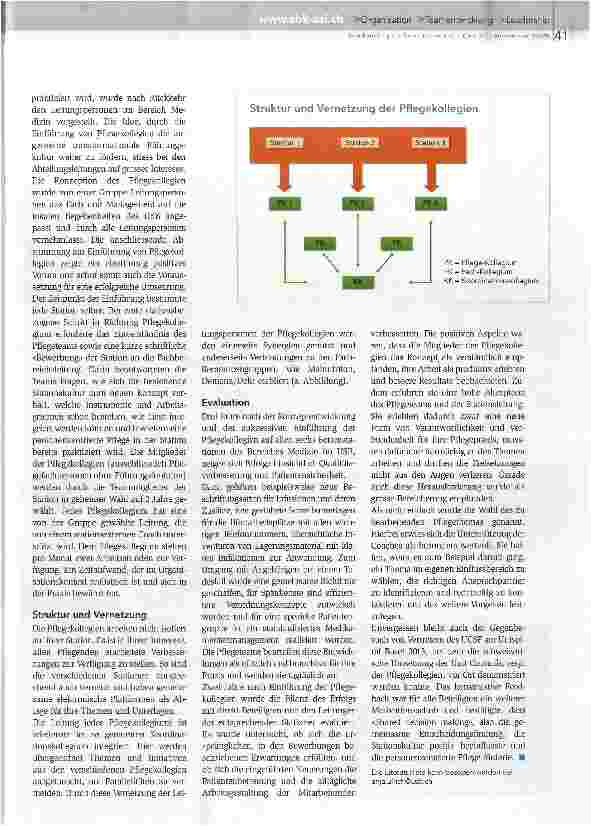 Vorschauseite 2: Die Antriebskraft von Pflegekollegien