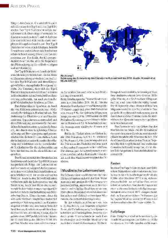 Vorschauseite 2: „Vom Essen wird man nicht krank - Diabetes Mellitus bei Patienten mit türkischem Migrationshintergrund