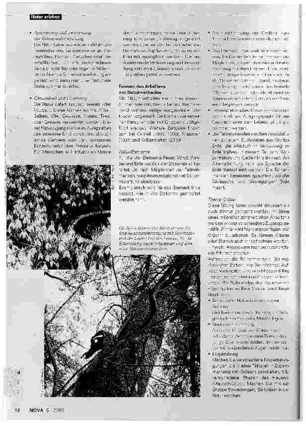 Vorschauseite 3: Begegnung mit der Natur. Arbeit mit Naturelementen in der Pflege