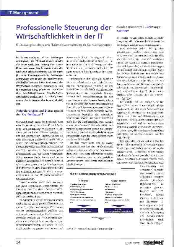 Vorschauseite 1: Professionelle Steuerung der Wirtschaftlichkeit in der IT