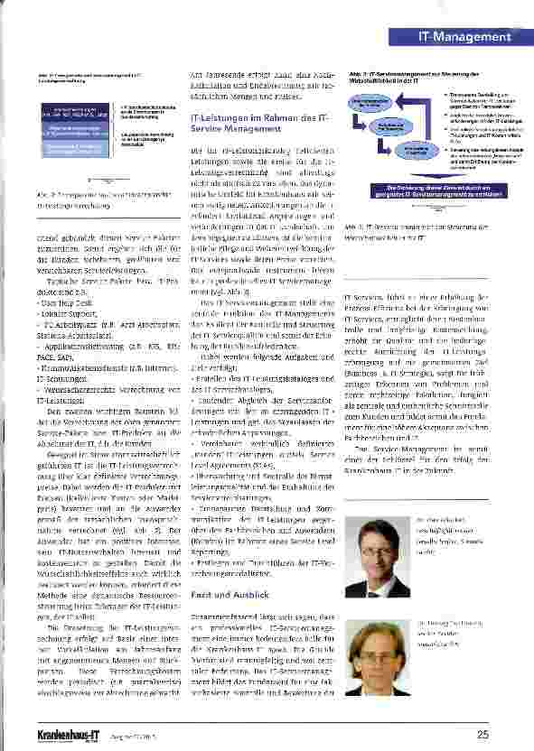 Vorschauseite 2: Professionelle Steuerung der Wirtschaftlichkeit in der IT