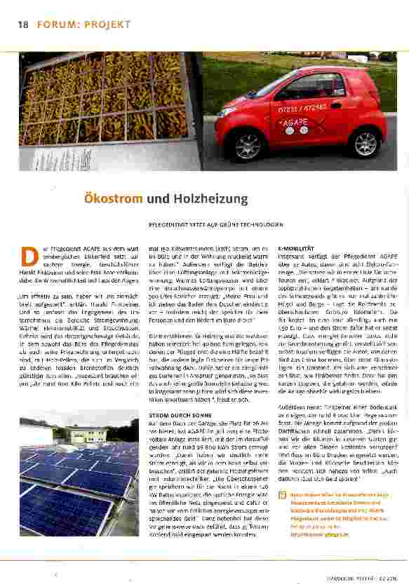 Vorschauseite 1: Ökostrom und Holzheizung