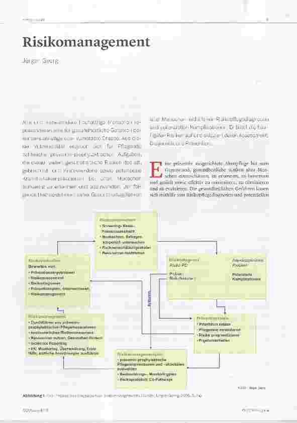 Vorschauseite 1: Risikomanagement