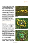 Vorschauseite 2: Gemeinsam draußen kreativ werden