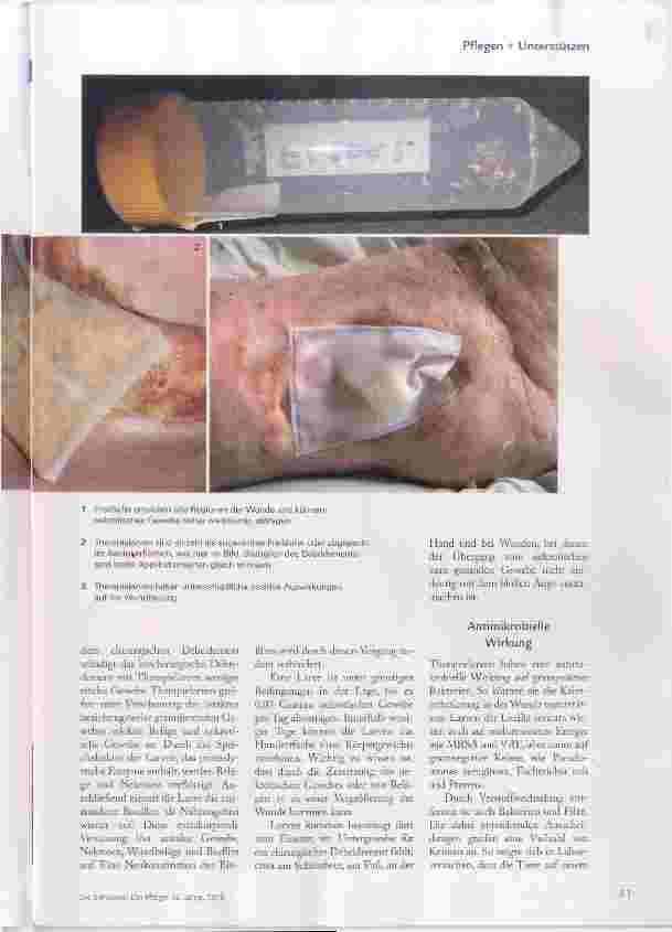 Vorschauseite 2: Tierische Helfer