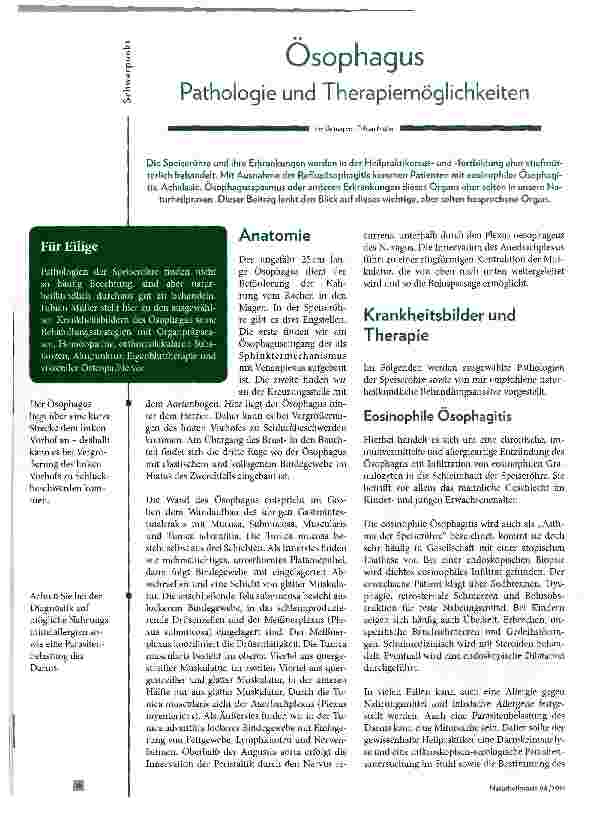 Vorschauseite 1: Osophagus Pathologie und Therapiemöglichkeiten