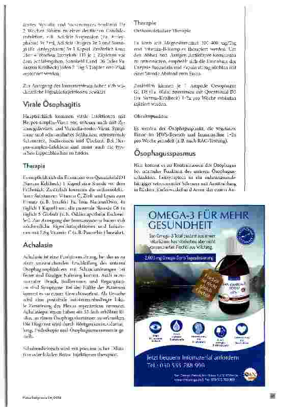 Vorschauseite 6: Osophagus Pathologie und Therapiemöglichkeiten