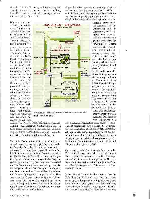 Vorschauseite 4: Die Humoralpathologie als das Fundament der Phänomenologie