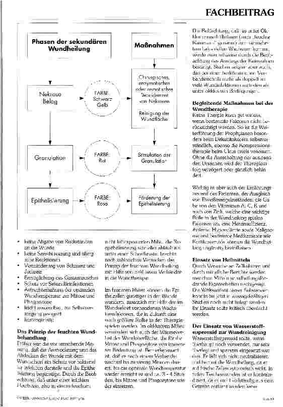 Vorschauseite 3: Möglichkeiten in der modernen Wundbehandlung