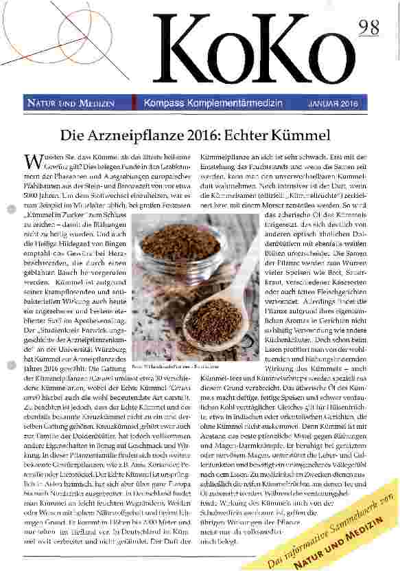 Vorschauseite 1: Die Arzneipflanze 2016: Echter Kümmel