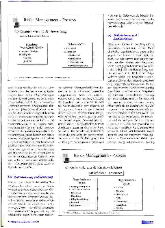 Vorschauseite 4: Risk-Management in der Altenpflege -Entlastung für die Betreuer?