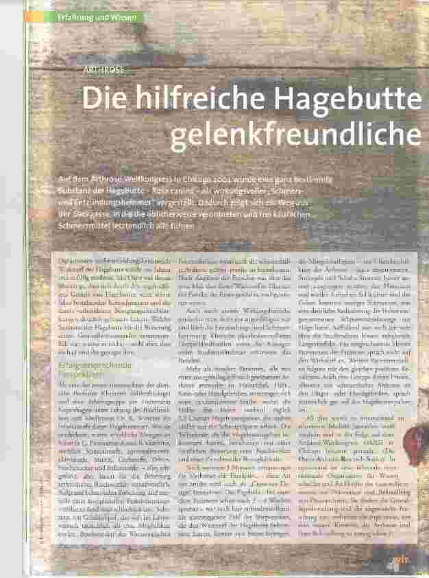 Vorschauseite 1: Die hilfreiche Hagebutte und eine gelenkfreundliche Ernährung