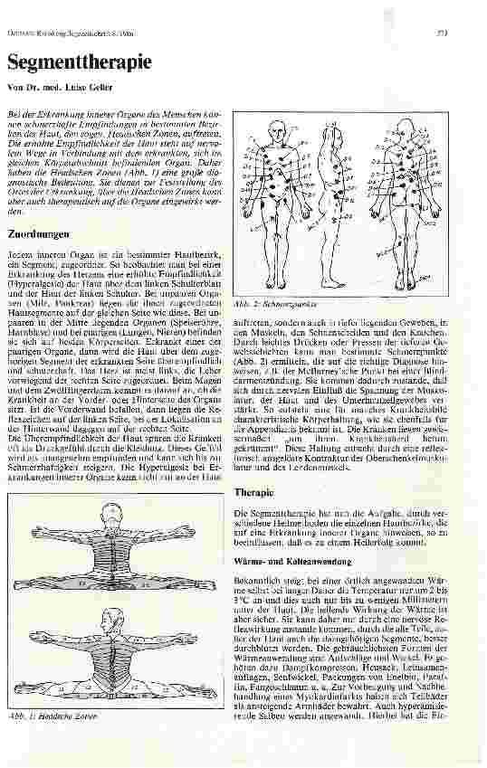 Vorschauseite 1: Segmenttherapie