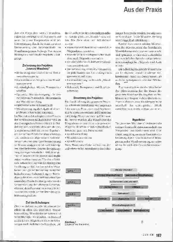 Vorschauseite 2: Aufbau eines internen Wundnetzes