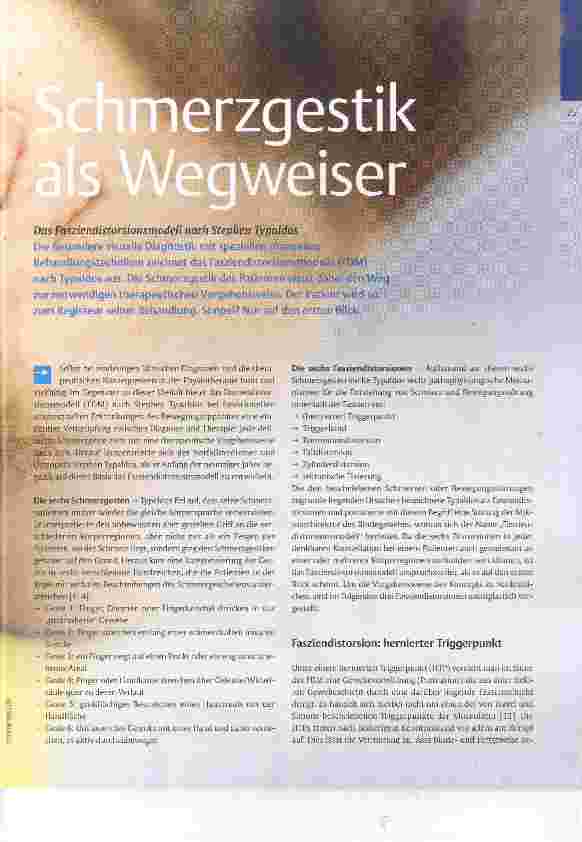 Vorschauseite 2: Schmerzgestik als Wegweiser