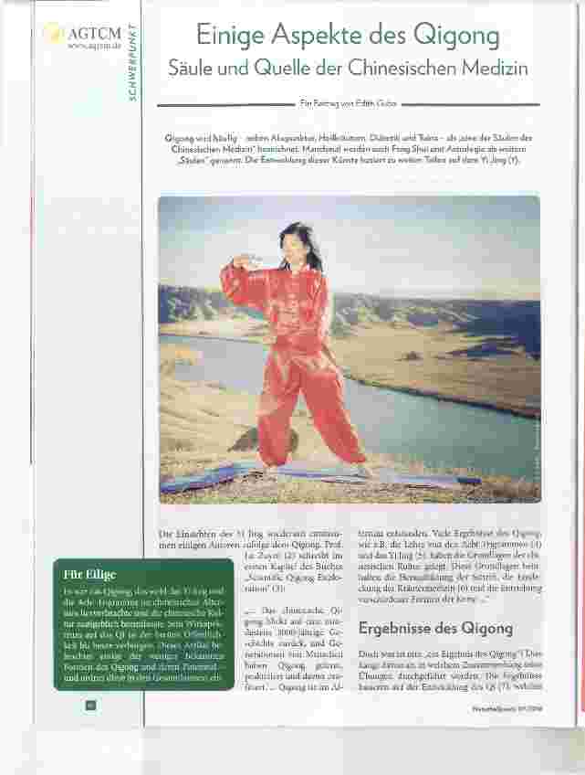 Vorschauseite 1: Einige Aspekte des Qigong Säule und Quelle der Chinesischen Medizin