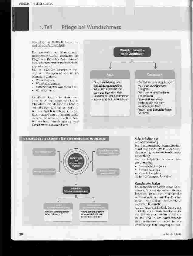 Vorschauseite 3: 1. Teil Pflege bei Wundschmerz Schmerzen und Wunden behandeln