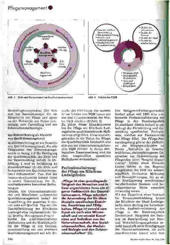 Vorschauseite 4: Professionalisierung und Qualitätsentwicklung - am Klinikum der Stadt Ludwigshafen gGmbH, 2. Teil