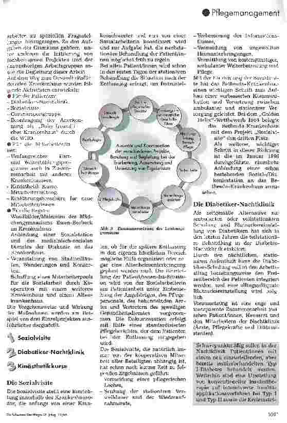 Vorschauseite 3: Das Gesundheitsfördernde Krankenhaus
