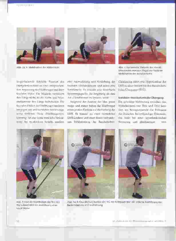 Vorschauseite 3: Rehabilitation eines Eishockeytorhüters