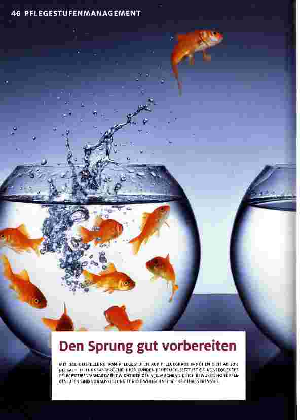 Vorschauseite 1: Den Sprung gut vorbereiten