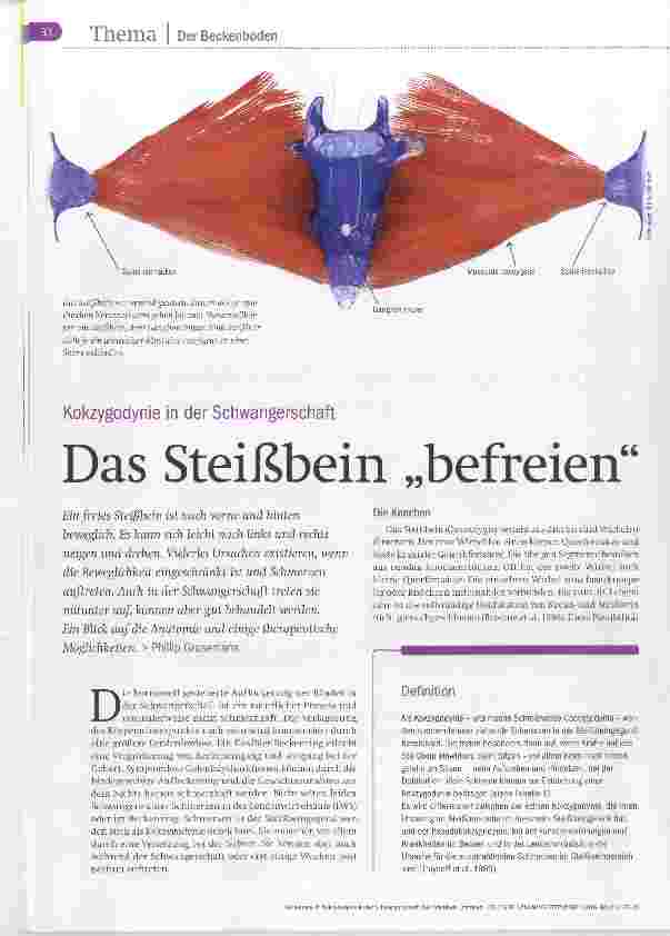 Vorschauseite 1: Das Steißbein befreien