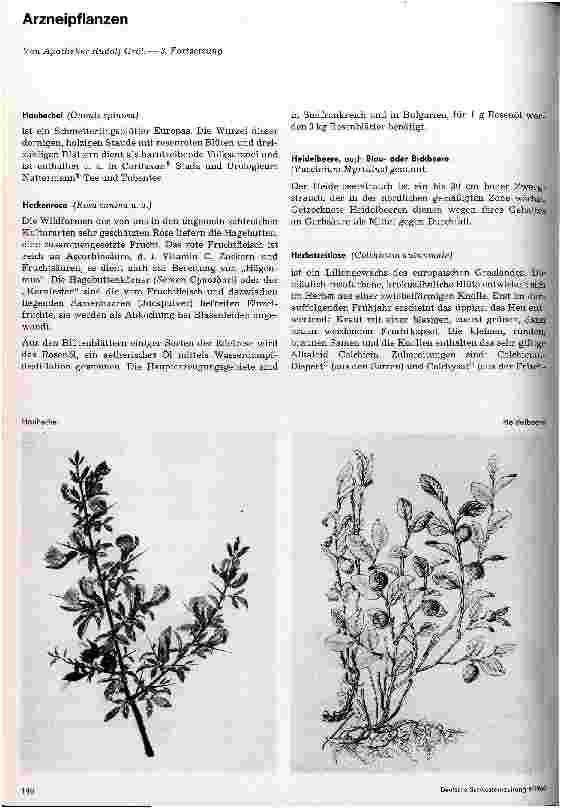 Vorschauseite 1: Arzneipflanzen 3. Fortsetzung