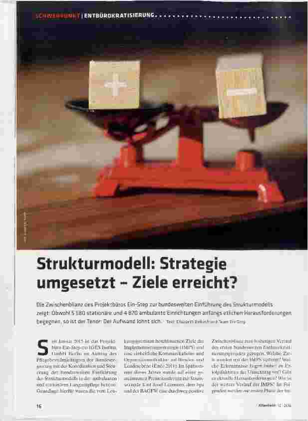 Vorschauseite 1: Strukturmodell: Strategie umgesetzt Ziele erreicht?