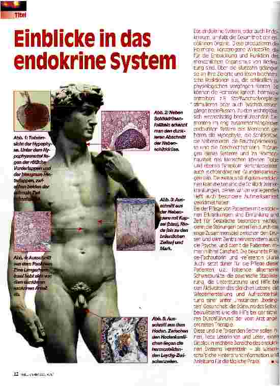 Vorschauseite 1: Einblicke in das endokrine System