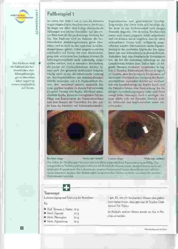 Vorschauseite 2: Pigmente in der Iris