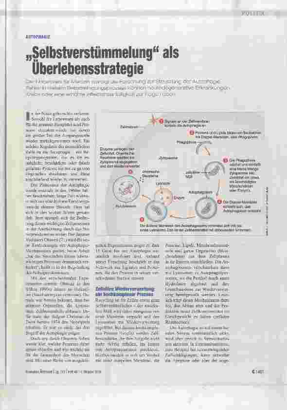 Vorschauseite 1: „Selbstverstümmelung“ als Oberlebensstrategle