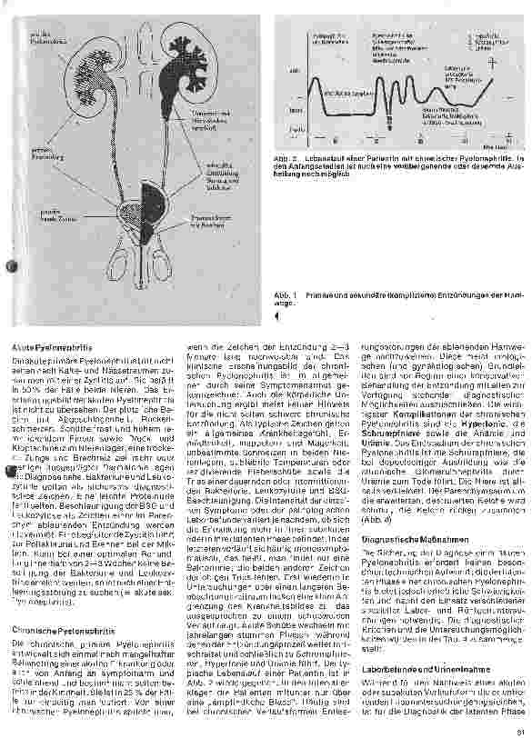 Vorschauseite 2: Urologie 8. Folge: Die unspezifischen bakteriellen Entzündungen im Urogenitalsystem