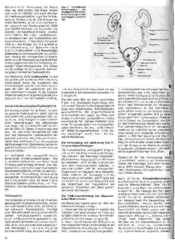 Vorschauseite 4: Urologie 8. Folge: Die unspezifischen bakteriellen Entzündungen im Urogenitalsystem