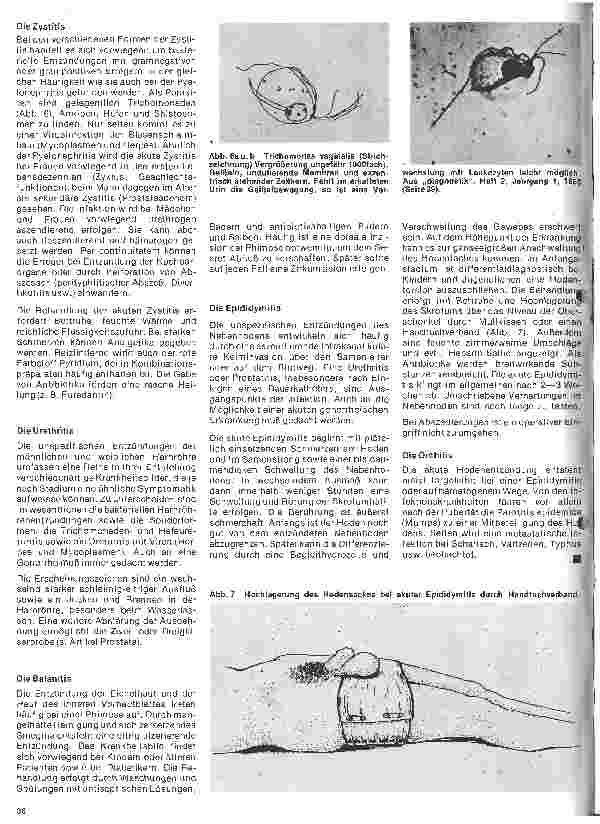 Vorschauseite 6: Urologie 8. Folge: Die unspezifischen bakteriellen Entzündungen im Urogenitalsystem