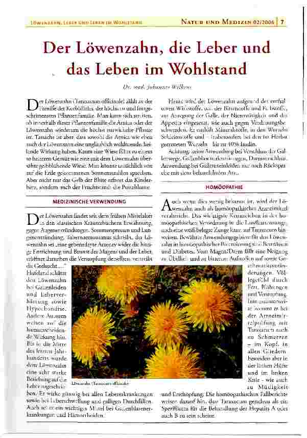 Vorschauseite 1: Der Löwenzahn, die Leber und das Leben im Wohlstand