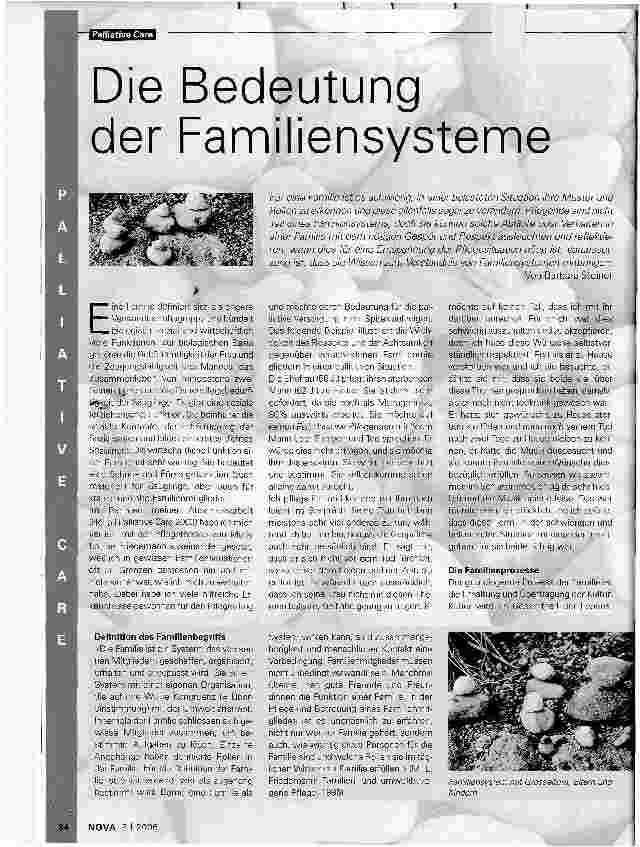 Vorschauseite 1: Die Bedeutung der Familiensysteme